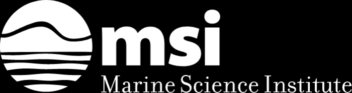 MSI logo